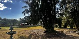 4332 145th Avenue N Gallery 6