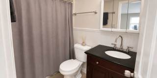 Stunning 3BD/2BTH Home in Holiday! Gallery 15