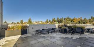 Summerstone Apartments Gallery 12
