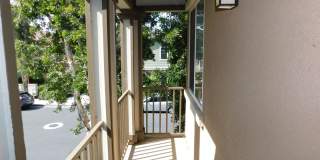 Beautiful 4 bed, 2.5 bath unit in Orange. Gallery 22