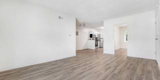 1545 N Laurel Gallery 3