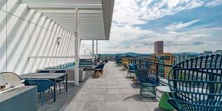 The Rodney Gallery 13