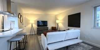 1Bd/1Ba Seattle Apartment Gallery 7