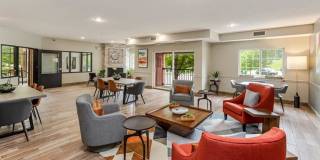 Zen Chaska Zen Chaska Gallery 37