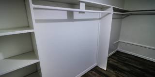 Spring Pine Gallery 33