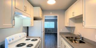 Summer Woods Gallery 2