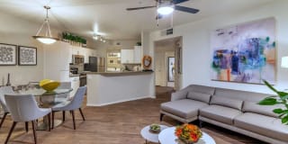 Reflections at Gila Springs Gallery 32