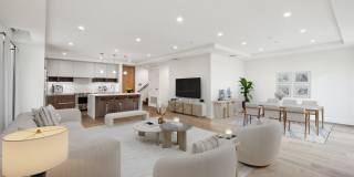 The Alfred The Alfred Gallery 22