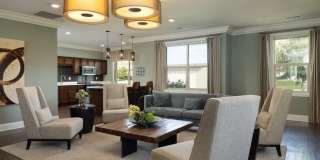 University Commons Gallery 14