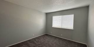 Summer Woods Gallery 32