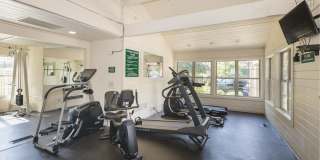 Western Terrace Gallery 12