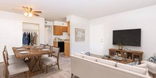 Lincoln Place Gallery 3