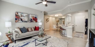 Canyon Resort at Great Hills Apartments Gallery 1