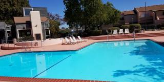 Resort-Style Complex Studio Gallery 4