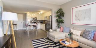 Residences at Westgate Gallery 35