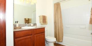 Raintree Apartments Gallery 17