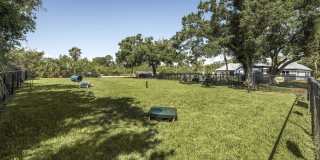 Audubon Village Gallery 9