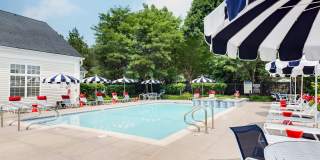 The Charles Bellingham Gallery 17