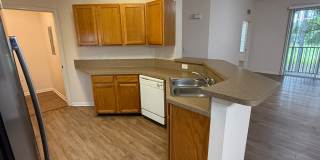 785-1  Oakleaf Plantation Parkway unit 123 Gallery 13