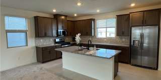 1505 Little Penguin Street Gallery 1