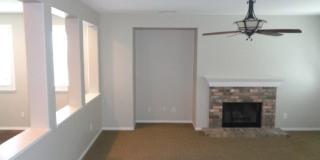 29137 Lighthouse Gallery 9