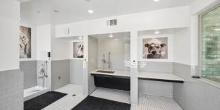 Vasari at Ventana Gallery 85