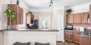 Villas at Houston Levee East Apartments Gallery 22