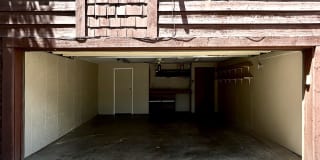 2510 Plumtree Grove - 1 Gallery 22
