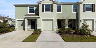 17205 BIGLEAF MAHOGANY LANE Gallery 1