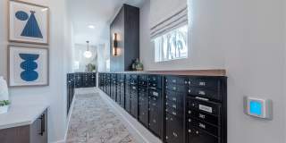 Alta Citron Gallery 20