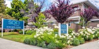 Sofi Berryessa Gallery 1