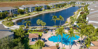 Lexington Palms at the Forum Gallery 1