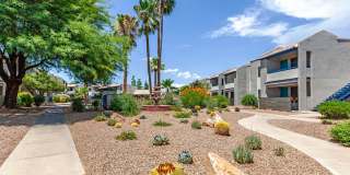 Agave Apartments Gallery 12