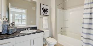 Authentix Greeley Gallery 21