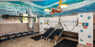 Artisan in Laguna Beach Gallery 22