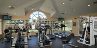 Madison Park Gallery 7