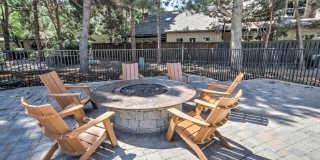 Reedhouse Gallery 15