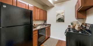 Silver Spring Towers Gallery 8