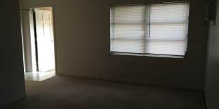 344 33rd Ave N Apt E Gallery 6