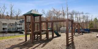 Ashton Creek Gallery 12