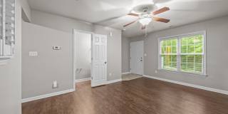 Welcome to Acorn Forest! Gallery 6