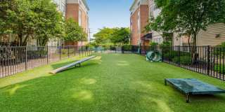 Sofi Lyndhurst Gallery 43