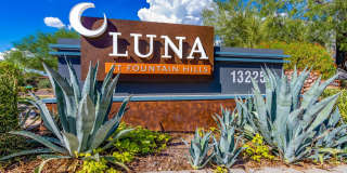 Luna at Fountain Hills by Mark-Taylor Gallery 4