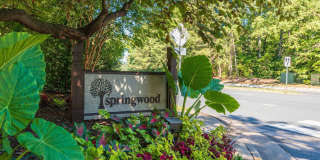 2210 SPRINGWOOD Drive Gallery 2