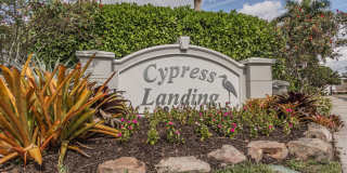 Cypress Landing 8291 Gallery 25