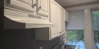 2217 Blossom St - 4 Gallery 5