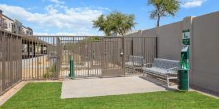 Alta Uptown Gallery 50