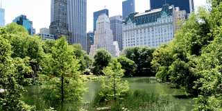 The Ashley Gallery 6