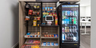 Dorchester Gallery 15