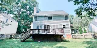 5303 Highberry Woods Road Gallery 19